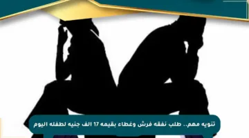 تنويه مهم.. طلب نفقة فرش وغطاء بقيمة 17 ألف جنيه لطفلة اليوم